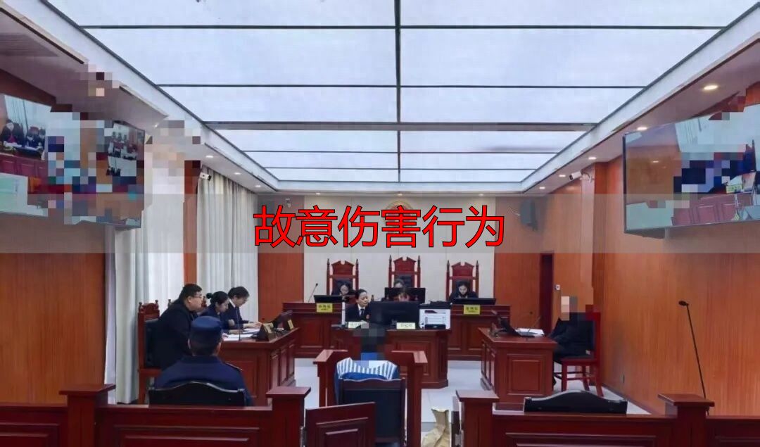 故意伤害行为_故意伤害罪 判决 累犯