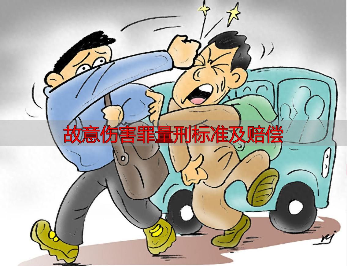 故意伤害罪量刑标准及赔偿_故意伤害立案标准_故意伤害罪构成要件